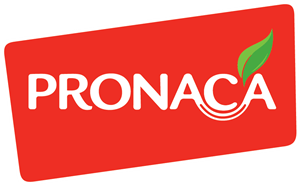 Pronaca